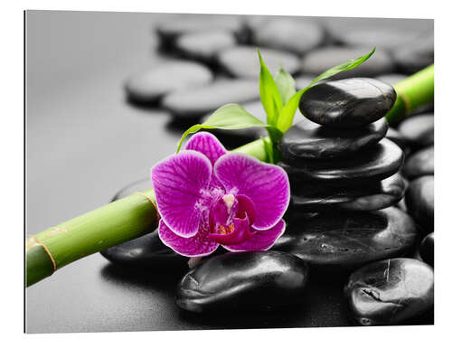 Gallery print Basalt stones, bamboo and orchid