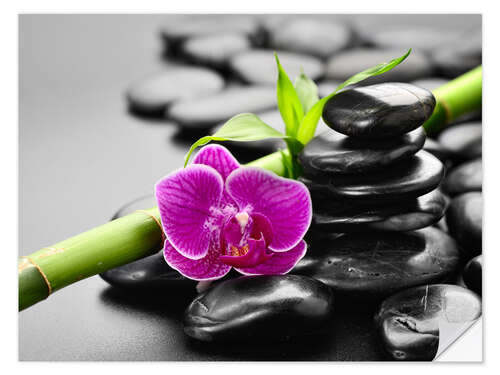 Vinilo para la pared Piedras, Bambús y orquídeas