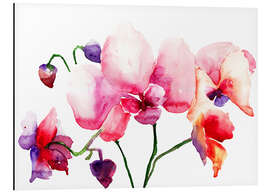 Tableau en aluminium Orchidées roses