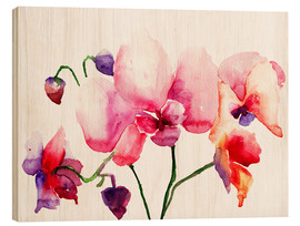 Obraz na drewnie  Pink orchids