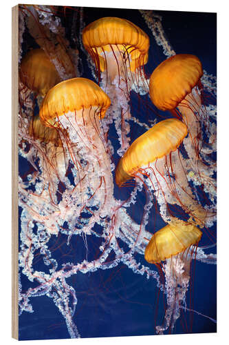 Wood print Yellow jellyfish in the ocean