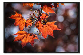 Gerahmter Kunstdruck Herbstfarben