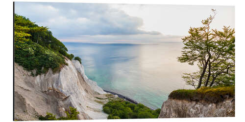 Stampa su alluminio The white chalk Cliffs of Mon