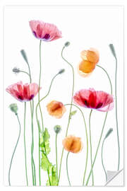 Wall sticker Poppy dance