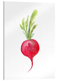 Gallery print Radish