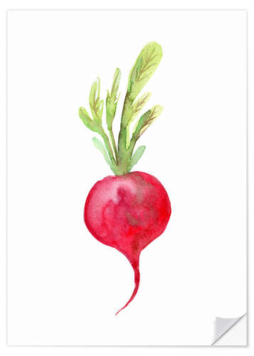 Naklejka na ścianę Radish