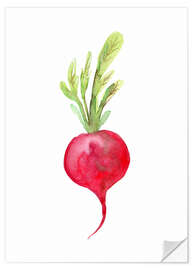 Selvklebende plakat Radish