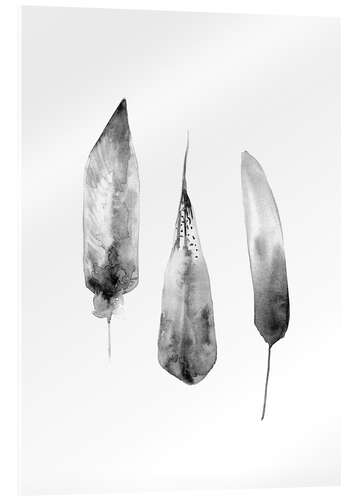 Acrylic print Three Feathers