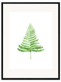 Framed art print Fern