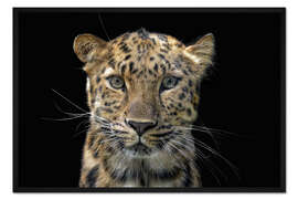 Gerahmter Kunstdruck Auge in Auge