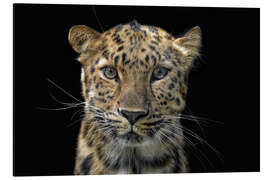 Magnettafel Auge in Auge