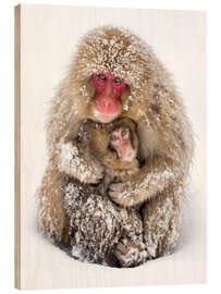 Wood print Japanese snow monkeys