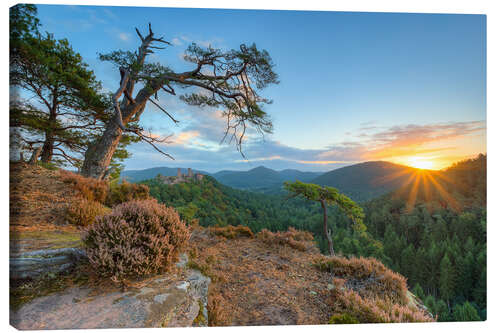 Lerretsbilde Days beginning in the Palatinate Forest