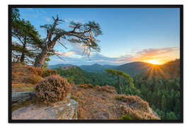 Gerahmter Kunstdruck Tagesbeginn im Pfälzerwald