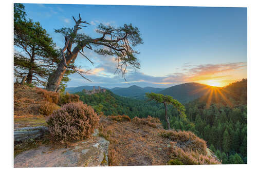 PVC-taulu Days beginning in the Palatinate Forest