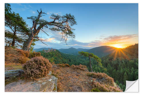 Wall sticker Days beginning in the Palatinate Forest