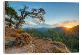 Stampa su legno Days beginning in the Palatinate Forest