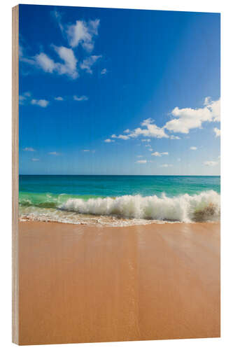 Wood print Awesome beach in Lagos at the Algarve