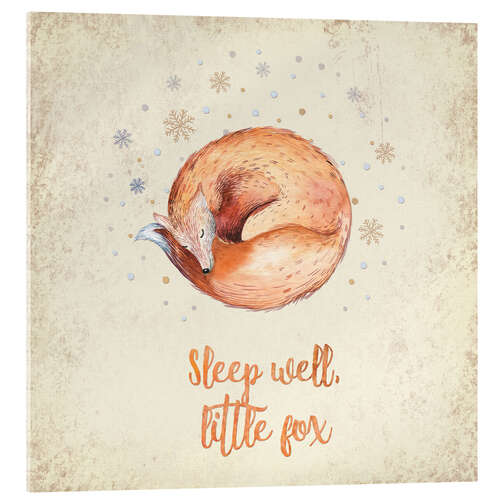 Stampa su vetro acrilico Sleep well little fox