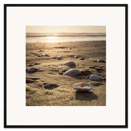 Kunsttryk i ramme sun shells