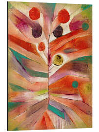 Magnettafel Federpflanze