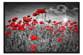 Gerahmter Kunstdruck Idyllisches Mohnblumenfeld