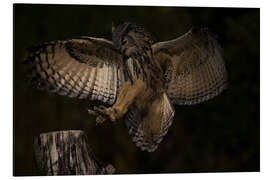 Magnettafel Safe landing