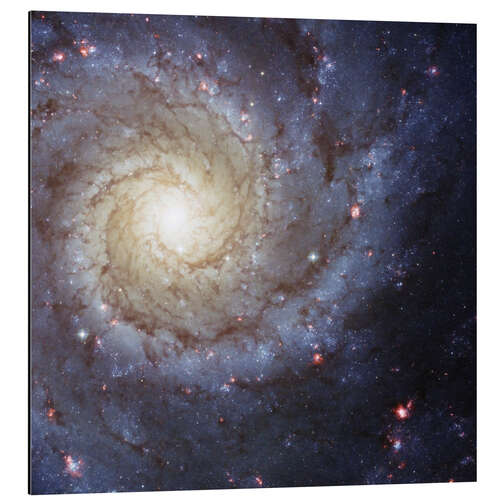 Tableau en aluminium Galaxies - beauties of space