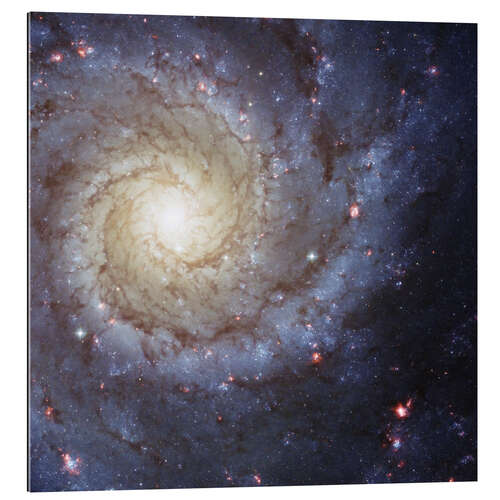 Gallery print Galaxies - beauties of space