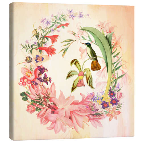 Canvas print Hummingbird I