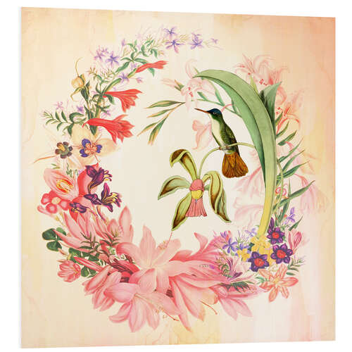 Foam board print Hummingbird I