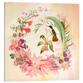 Tableau en plexi-alu Hummingbird I