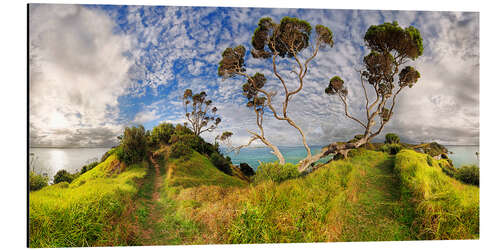 Aluminiumsbilde Russell - New Zealand - Bay of Island