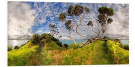 Foam board print Russell - New Zealand - Bay of Island