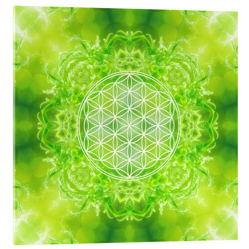 Acrylglasbild Blume des Lebens - Heilkraft Natur