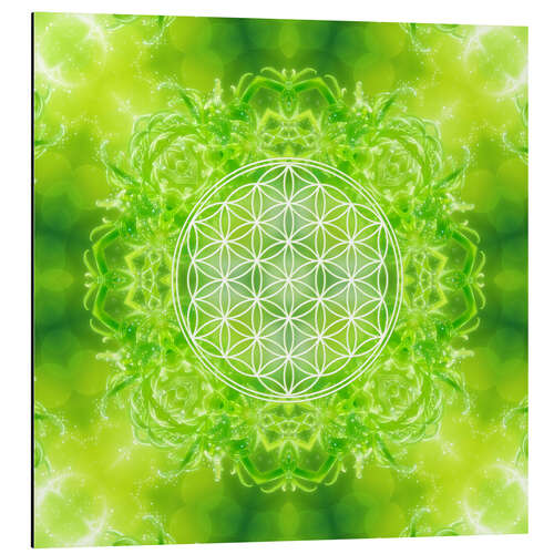 Aluminiumtavla Flower of Life - Healing Power of Nature