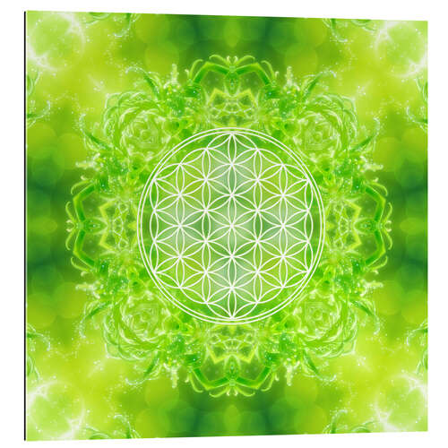 Gallery Print Blume des Lebens - Heilkraft Natur