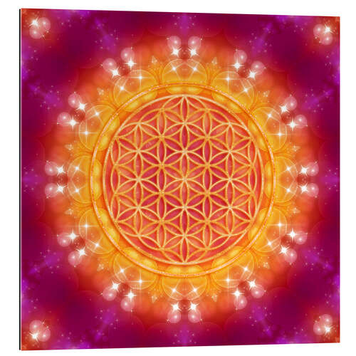 Gallery print Flower of Life - Abundance