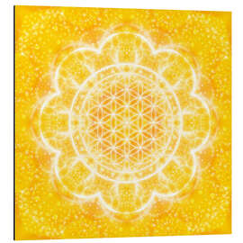 Obraz na aluminium Flower of life - light power