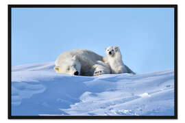 Gerahmter Kunstdruck Eisbär Mutter und winkendes Jungtier