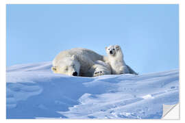 Wall sticker Polar bear mother and cub