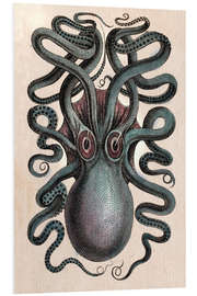 Foam board print Common squid - Octopus