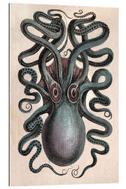 Gallery Print Gemeiner Tintenfisch - Octopus