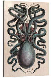 Magnettafel Gemeiner Tintenfisch - Octopus