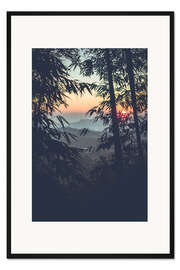 Gerahmter Kunstdruck Bambus im Sonnenuntergang