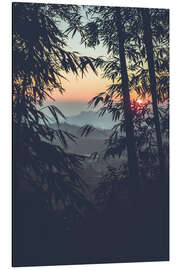 Magnettafel Bambus im Sonnenuntergang