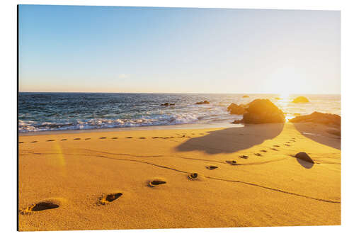 Quadro em alumínio Tracks on a sandy beach