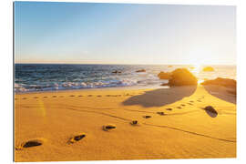 Gallery print Tracks on a sandy beach