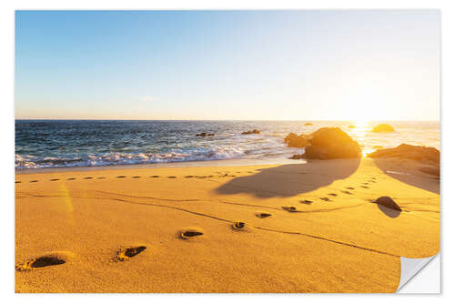 Naklejka na ścianę Tracks on a sandy beach