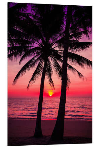 Gallery print Palm trees and tropical sunset